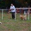 foire-haricots 2011-09-17et18